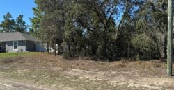 Citrus Springs – Flórida