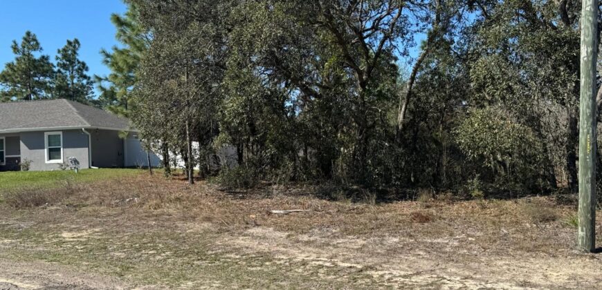 Citrus Springs – Flórida